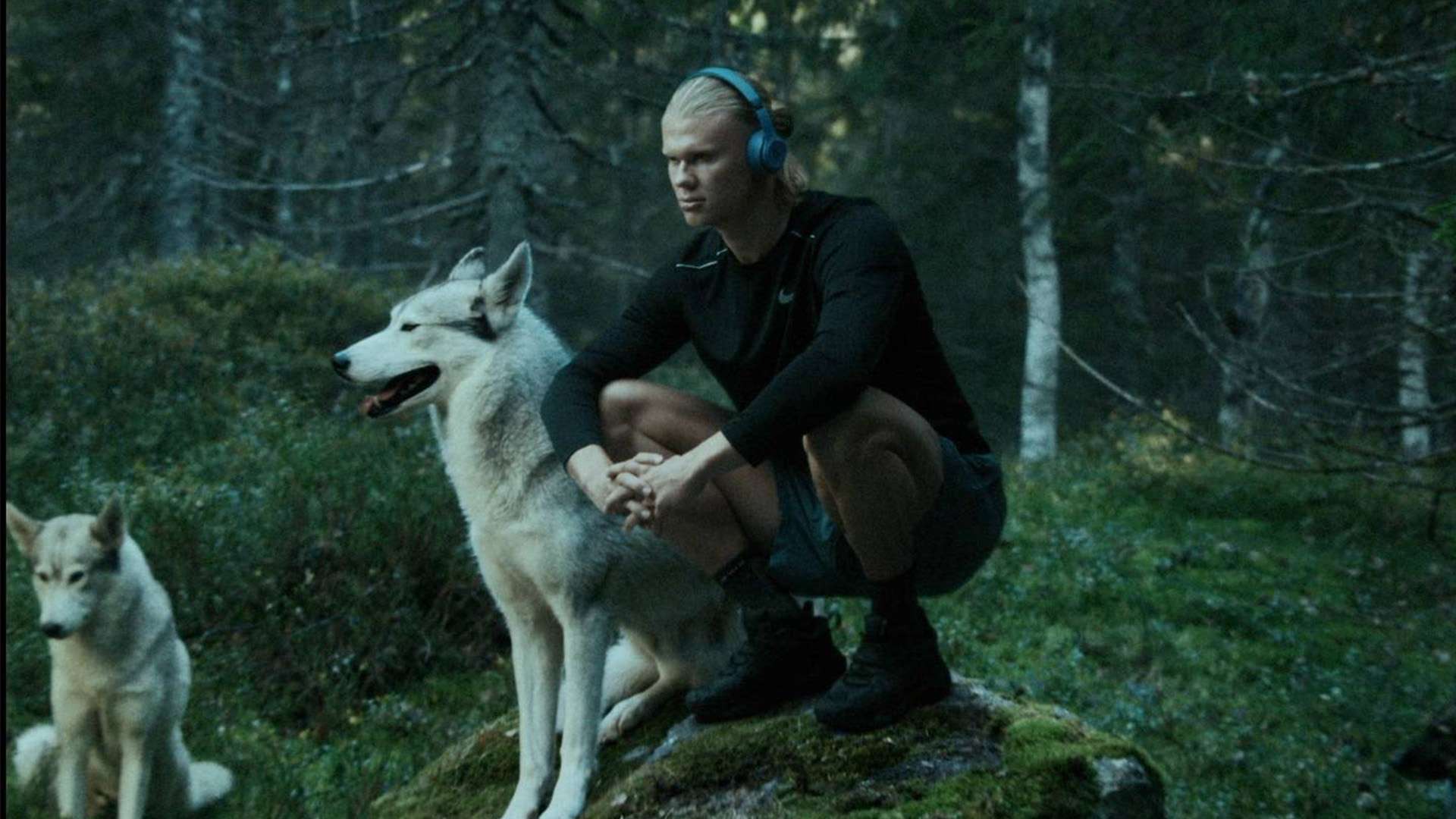 将成为半决 将成为半决